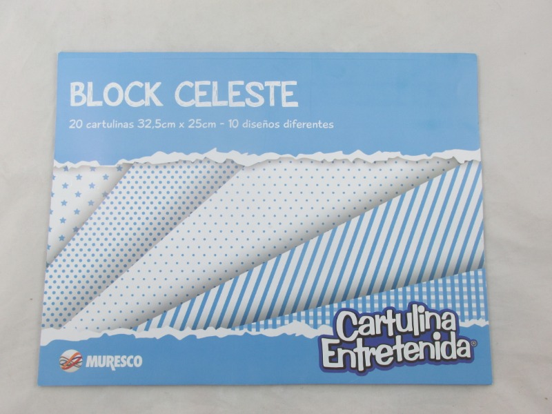 BLOCK CART.ENTRET.CELESTEx20hjs.
