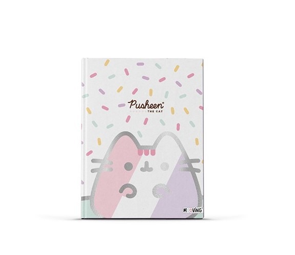 CUAD.T/DURA 48HR.PUSHEEN.